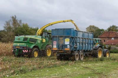 Maize Harvesting 2020 Photo Credit http://www.arbimages.com
