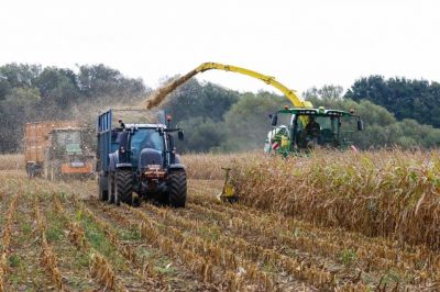 Maize Harvesting 2020 Photo Credit www.arbimages.com
