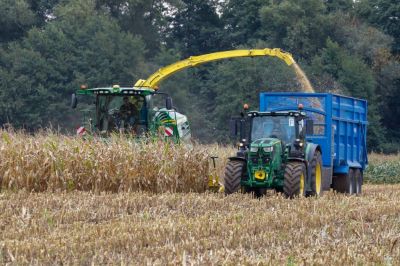 Maize Harvesting 2020 Photo Credit http://www.arbimages.com
