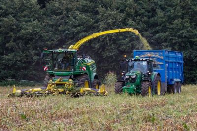 Maize Harvesting 2020
