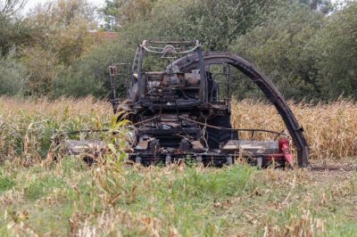 Maize Harvesting 2020
