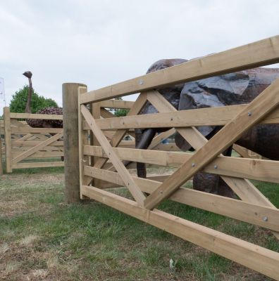 Windsor Horse Show 2017
