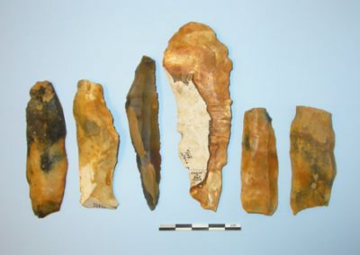 Neolithic Tools Found at Manor Farm (www.wessexarch.co.uk)
