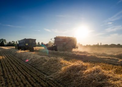 Combining Summer 2015 Hot Day Sunset
