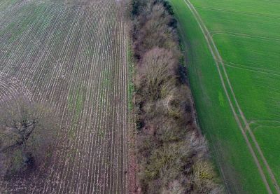 J Rayner & Sons Aerial Crops February 2021
