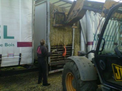 Exporting Straw To Holland
