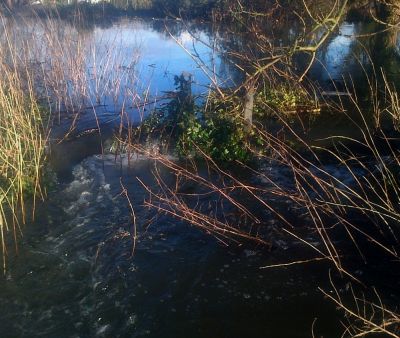 Floods at Berkyn Manor Feb 2014
