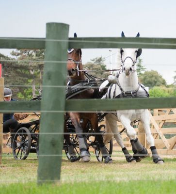 Windsor Horse Show 2017
