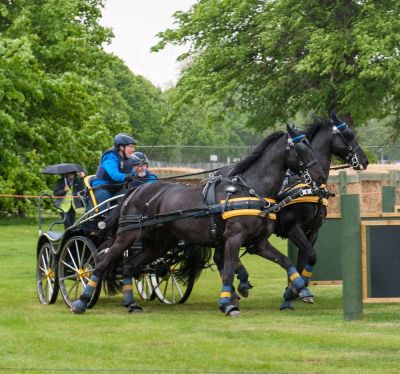 Windsor Horse Show 2017

