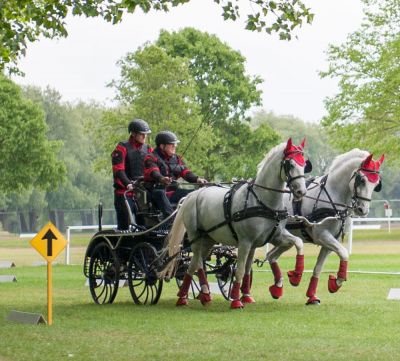 Windsor Horse Show 2017
