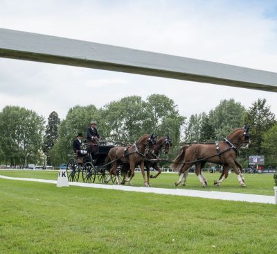 Windsor Horse Show 2017
