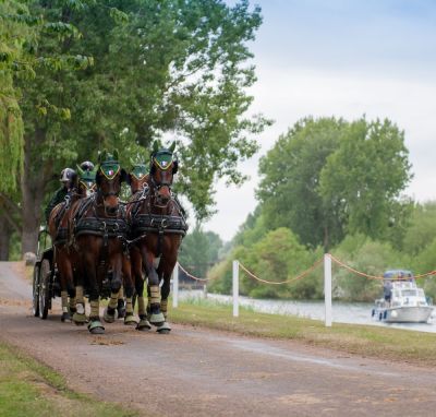 Windsor Horse Show 2017
