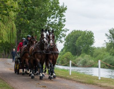Windsor Horse Show 2017
