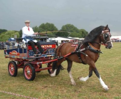 Chertsey Show 2006 Horse and Cart

