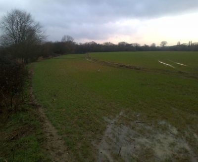 Waterlogged field at Runnymede
