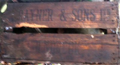 The Last J Rayner and Sons Ltd Colnbrook Market Garden Box?
Keywords:  Farms, Horton, Rayner,
